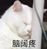 DƬ
